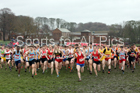 Senior boys 2019 New Balance English Schools Cross Country Champs, Temple Newsam, Leeds. Photo:  David T. Hewitson/Sports for All Pics